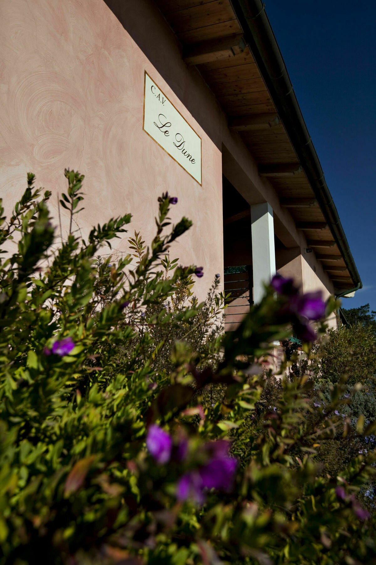 Le Dune Follonica Exteriér fotografie